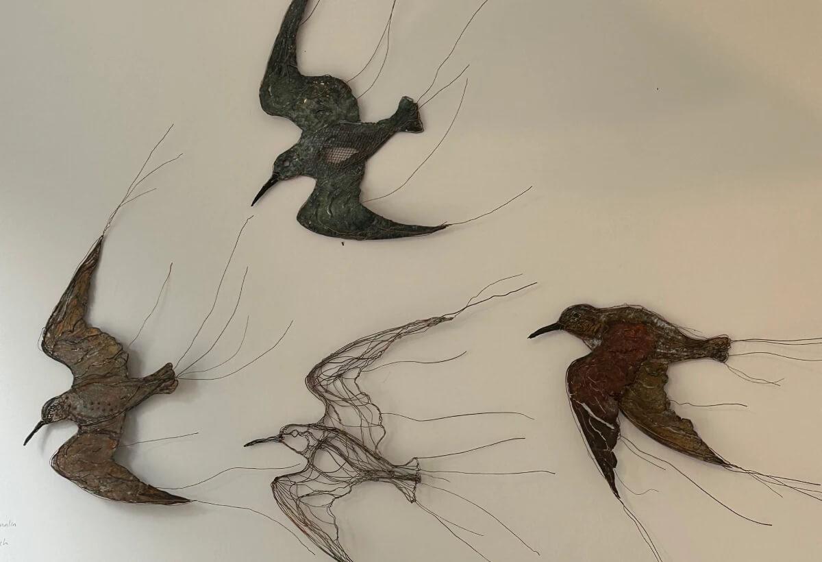 celia smith wire bird drawings installations corsham peacock arts trail 1 celia smith wire bird drawings installations corsham peacock arts trail 1