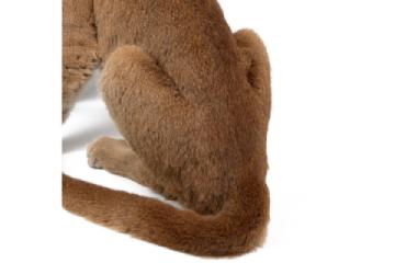 lot 265 bella gallery 6